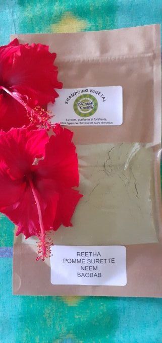 shampoing végétal 